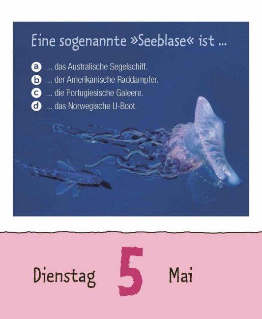 InsideView 7