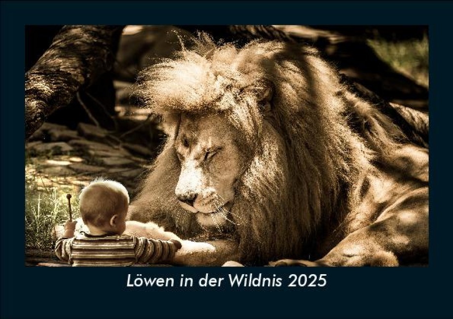 Löwen in der Wildnis 2025 Fotokalender DIN A5 - Tobias Becker
