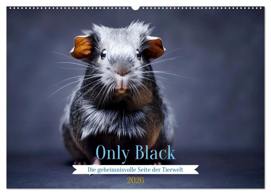 Only Black (Wandkalender 2026 DIN A2 quer), CALVENDO Monatskalender - Daniela Tapper