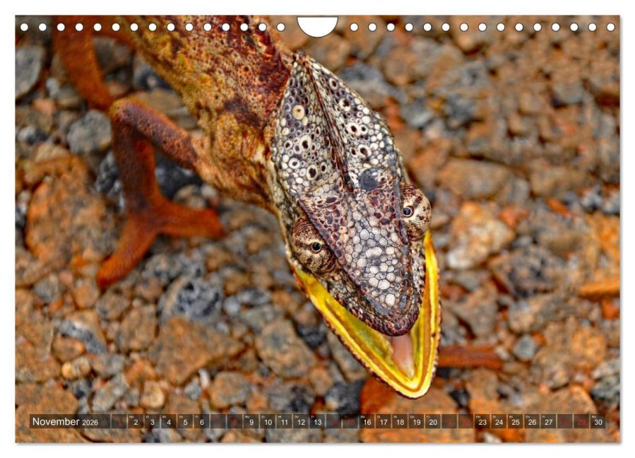 InsideView 3