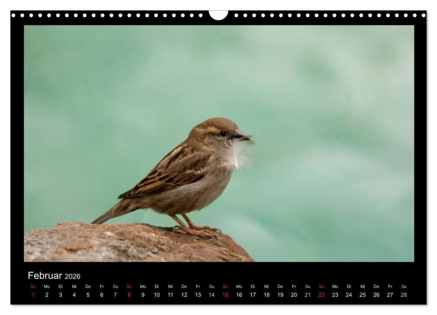 InsideView 7