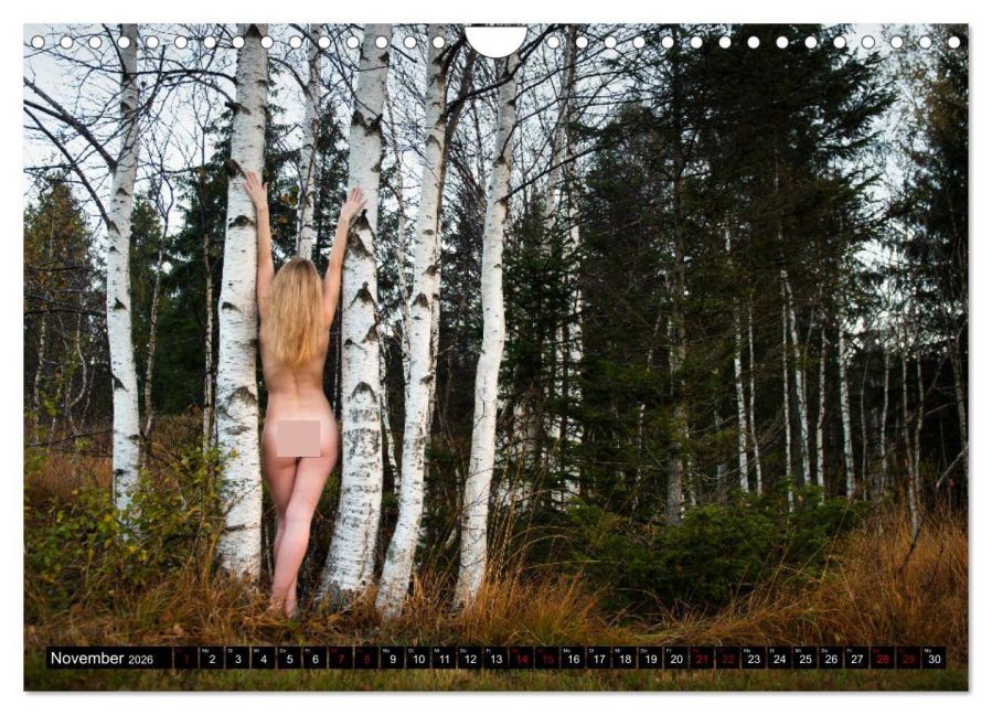 InsideView 3