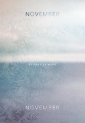 Cover-Bild zum Titel 'November, November' von 'Isabella Wang'
