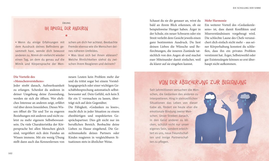 InsideView 6