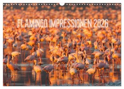 Cover-Bild zum Titel 'Flamingo Impressionen 2026 (Wandkalender 2026 DIN A3 quer), CALVENDO Monatskalender' von 'Ingo Gerlach'