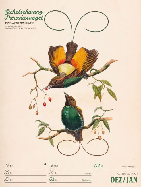 InsideView 56