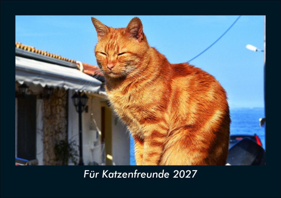 Für Katzenfreunde 2027 Fotokalender DIN A5 - Tobias Schmitt, Kevin Heber