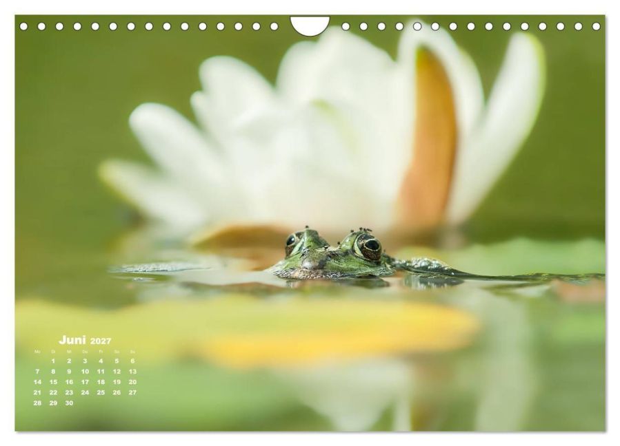 InsideView 11