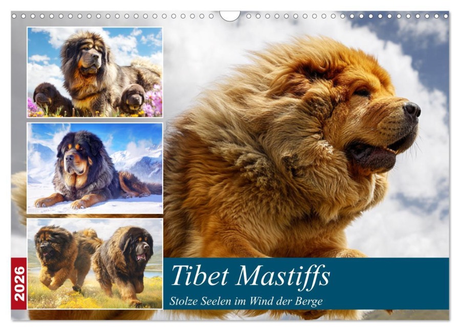 Tibet Mastiffs. Stolze Seelen im Wind der Berge (Wandkalender 2026 DIN A3 quer), CALVENDO Monatskalender - Rose Hurley