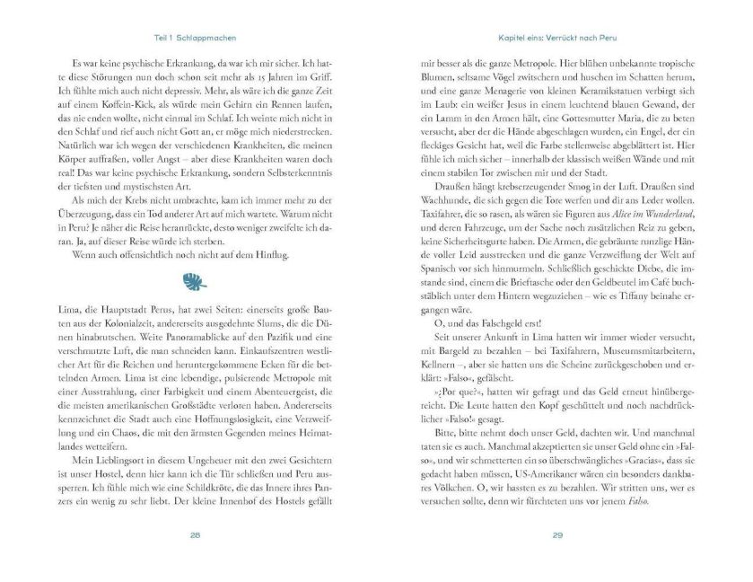 InsideView 4
