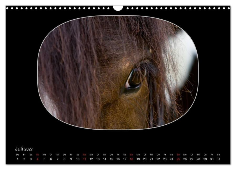InsideView 12