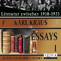 Cover-Bild zum Titel 'Essays 1' von 'Karl Kraus'