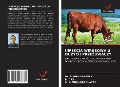 Cover-Bild zum Titel 'INFEKCJA WIRUSOWA U DU¿YCH PRZE¿UWACZY' von 'Subha Ganguly, R. Das, S. K. Mukhopadhayay'