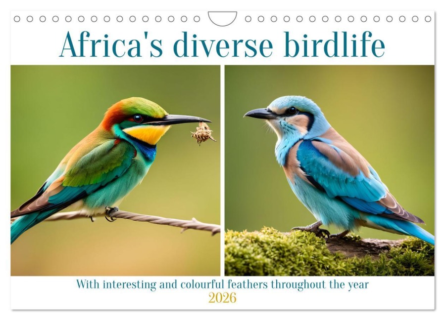 Africa's diverse birdlife (Wall Calendar 2026 DIN A4 landscape), CALVENDO 12 Month Wall Calendar - Claudia Kleemann