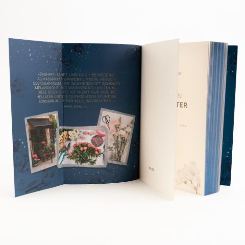 InsideView 8