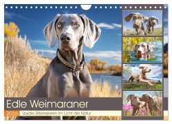 Edle Weimaraner. Loyale Silberseelen im Licht der Natur (Wandkalender 2026 DIN A4 quer), CALVENDO Monatskalender - Rose Hurley