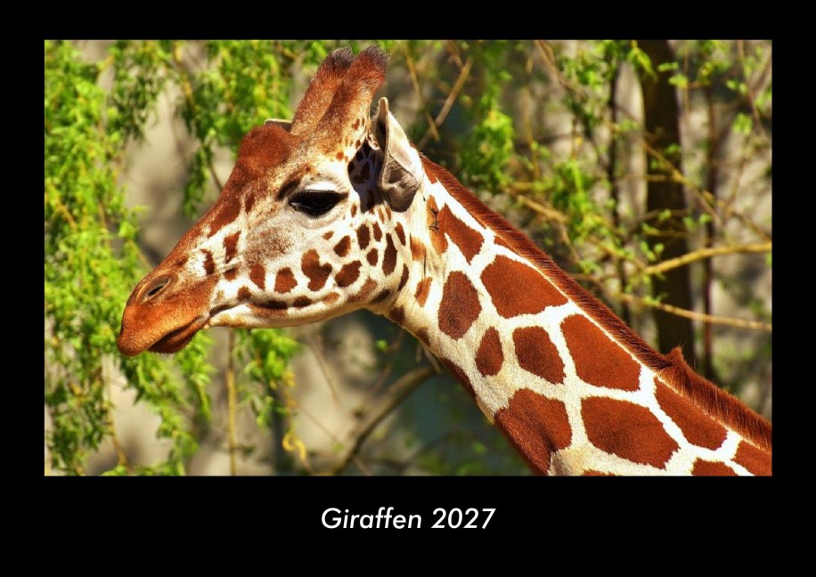 Giraffen 2027 Fotokalender DIN A3 - Tobias Becker