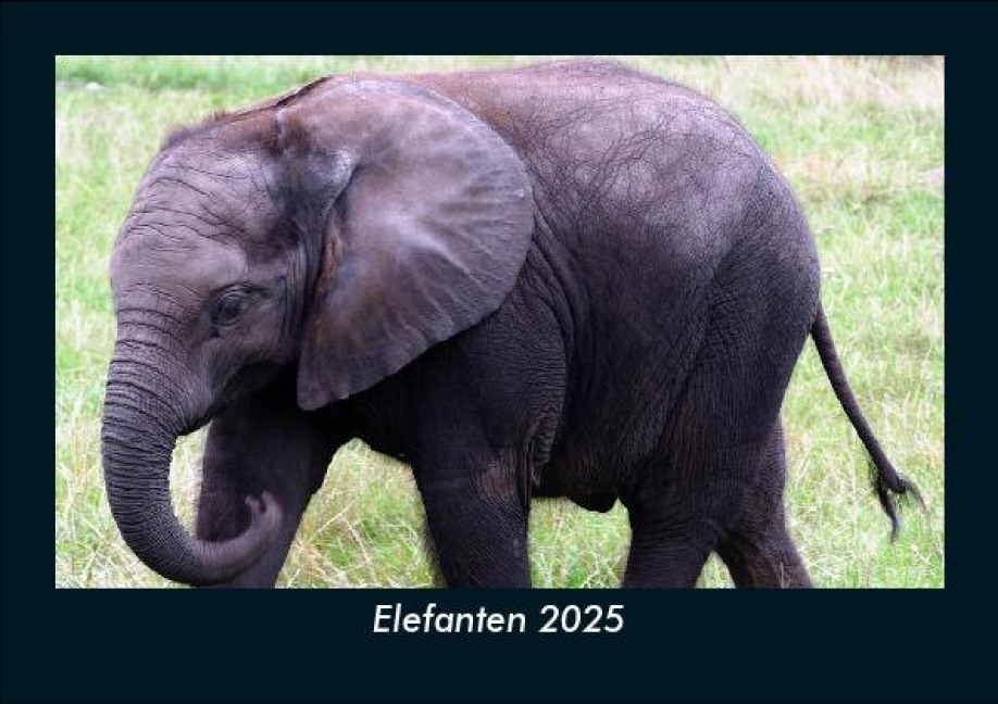 Elefanten 2025 Fotokalender DIN A5 - Tobias Becker