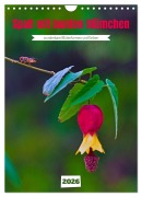 Cover-Bild zum Titel 'Spaß mit bunten Blümchen (Wandkalender 2026 DIN A4 hoch), CALVENDO Monatskalender' von 'C. Stenner'