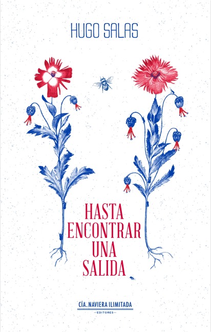 Hasta encontrar una salida - Hugo Salas