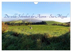 Die wilde Schönheit der Azoren - Sao Miguel (Wandkalender 2025 DIN A4 quer), CALVENDO Monatskalender - Rabea Albilt
