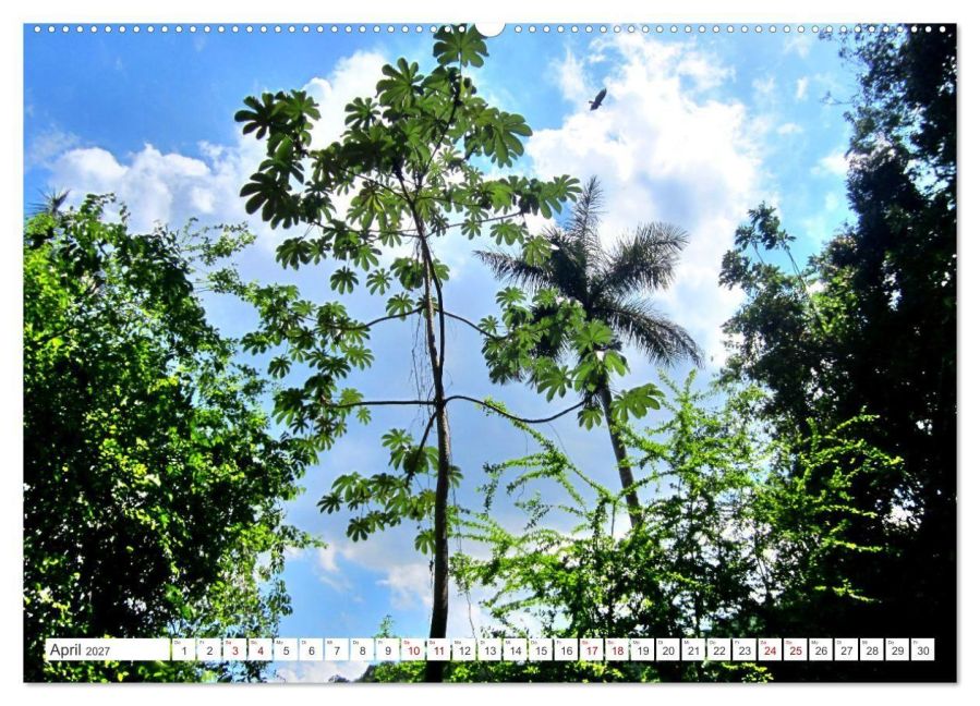InsideView 8