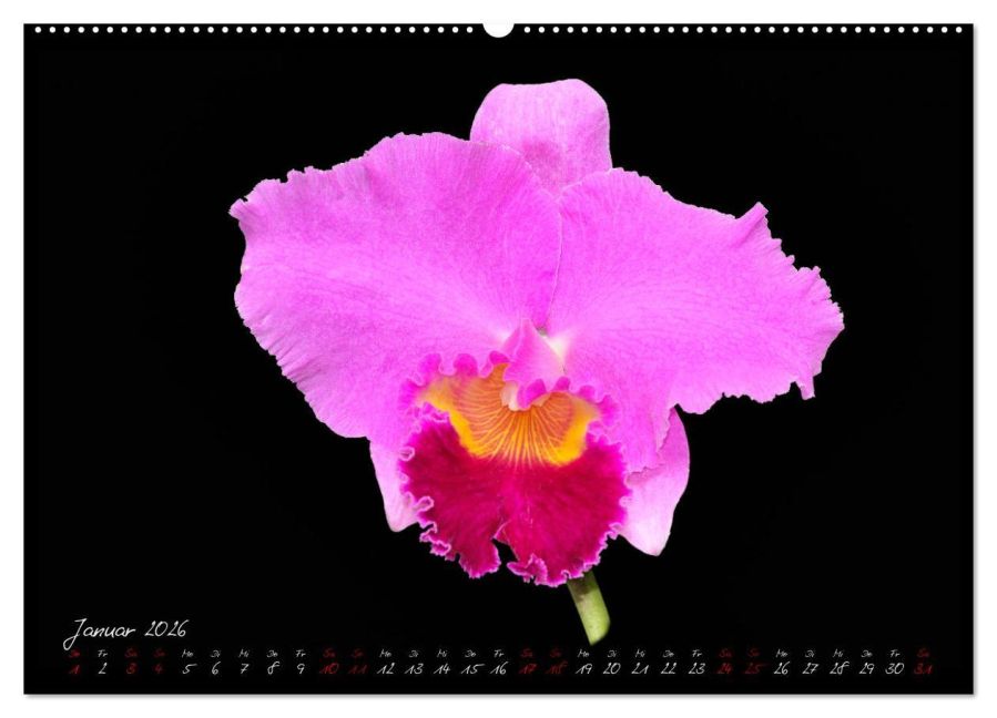 InsideView 5