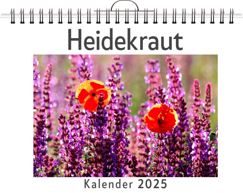 Heidekraut - Paul Krüger