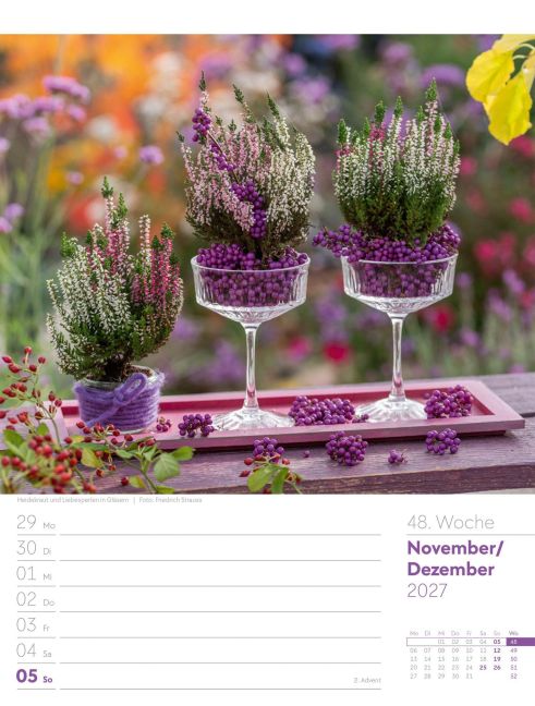 InsideView 52