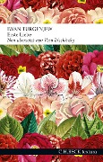 Cover-Bild zum Titel 'Erste Liebe' von 'Iwan Turgenjew'