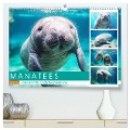 Manatees. Faszinierende Rundschwanzseekühe (hochwertiger Premium Wandkalender 2025 DIN A2 quer), Kunstdruck in Hochglanz - Rose Hurley
