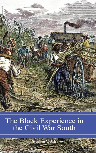 The Black Experience in the Civil War South - Stephen Ash
