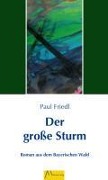 Cover-Bild zum Titel 'Der große Sturm' von 'Paul Friedl'
