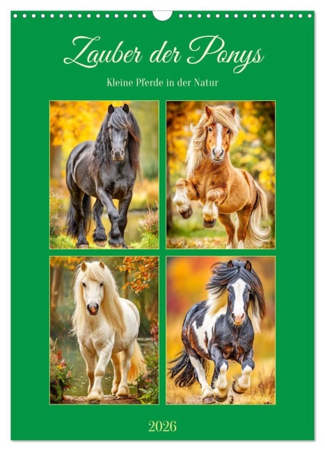 Zauber der Ponys. Kleine Pferde in der Natur (Wandkalender 2026 DIN A3 hoch), CALVENDO Monatskalender - Rose Hurley