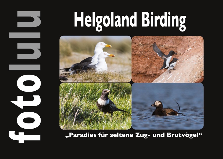 Helgoland Birding - Sr. Fotolulu