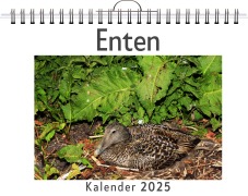 Cover-Bild zum Titel 'Enten' von 'Ava Schäfer'