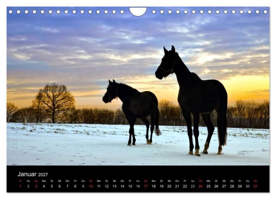InsideView 6
