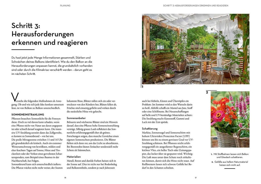 InsideView 2