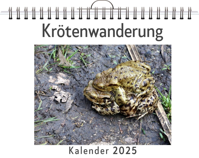 Krötenwanderung - Oliver Münch