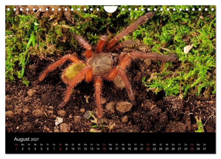 InsideView 13