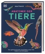 Anatomie der Tiere - Jess French