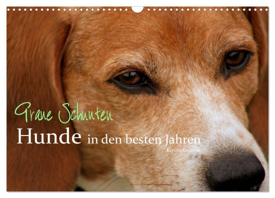 Graue Schnuten - Hunde in den besten Jahren (Wandkalender 2025 DIN A3 quer), CALVENDO Monatskalender - Kerstin Grüttner