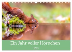 Ein Jahr voller Hörnchen (Wandkalender 2025 DIN A3 quer), CALVENDO Monatskalender - Ellenlichtenheldt Ellenlichtenheldt