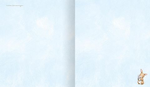 InsideView 4