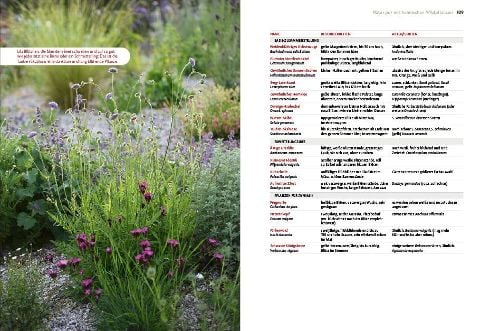 InsideView 8