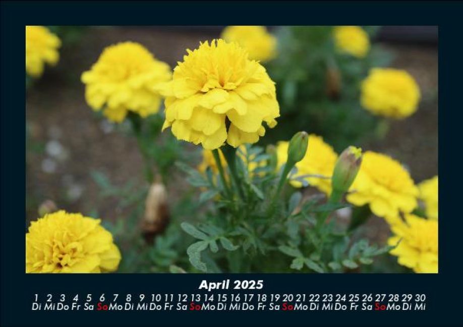 InsideView 8