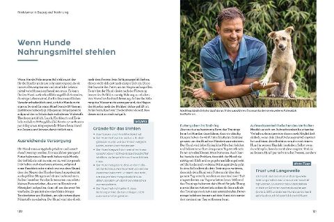 InsideView 5