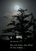 Was sich hinter dem Mond im See verbarg ... - Ulli Heinrich