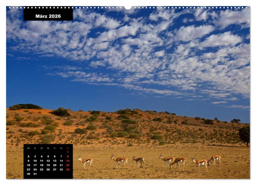 InsideView 8