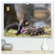 Cover-Bild zum Titel 'Eichhörnchen - Lustige Kurzgeschichten mit den quirligen Wildtieren (hochwertiger Premium Wandkalender 2026 DIN A2 quer), Kunstdruck in Hochglanz' von 'Birgit Cerny'